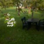 Les Jardins De Qiara Ferienhaus