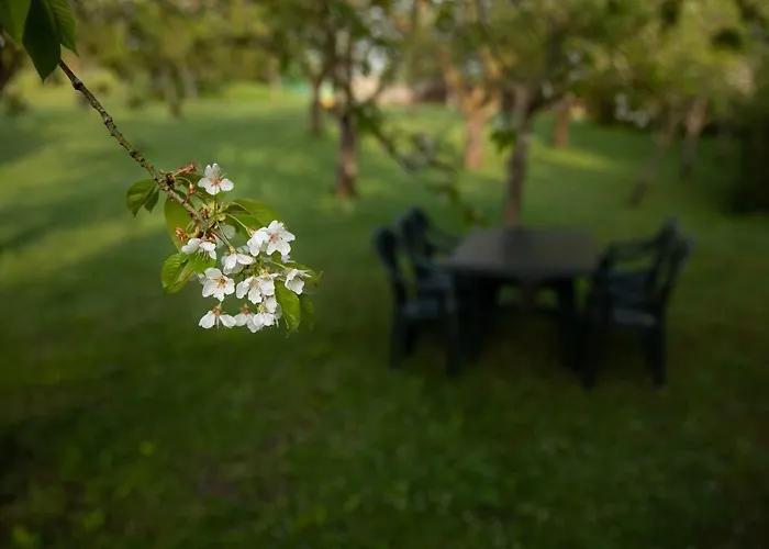 Les Jardins De Qiara Hébergement de vacances